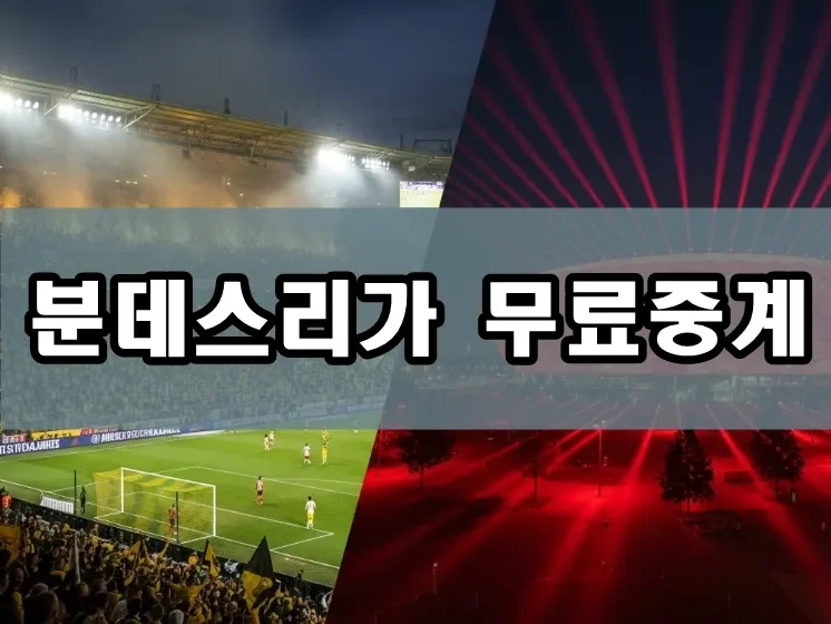 분데스리가 무료중계