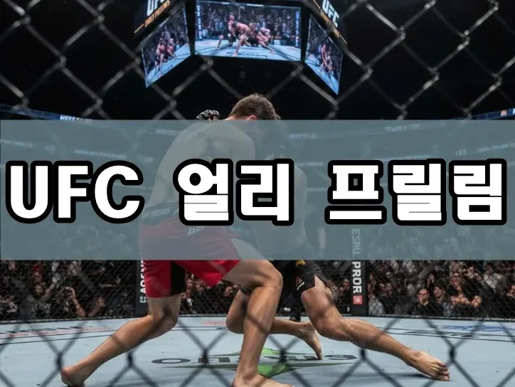 UFC 대회